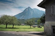 Auf dieser Wiese (Hof Triechten) entlang der Brünigstrasse soll die erste Etappe realisiert werden. (Bild: Corinne Glanzmann (Kägiswil, 13. Juni 2017))