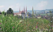 Mit Bildern wie diesem (hier von Muri) wirbt Erlebnis Freiamt für die Schönheit der Region. (Bild: PD)
