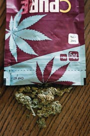 THC-armes Cannabis steht derzeit hoch im Kurs. (Bild: Christian Beutler/Keystone)