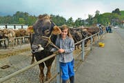 Julia Kiser mit «Mister 2016», dem mit dem Spezialpreis ausgezeichneten Stier Marc ihres Vaters Josef. Bilder: Paul Küchler