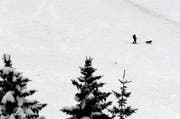 Ein letzter Retter mit seinem Suchhund im Lawinenhang in Gebiet Laub am vergangenen Sonntag. (Bild: Keystone)