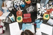 Im Nationalrat wird debattiert, ob die Resultate von Gentests Lebensversicherern vorgelegt werden müssen. (Bild: Anthony Kwan/Bloomberg (Hongkong, 20. Juni 2017))