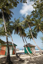 Die Koralleninsel Barbados bietet mehr als 80 makellose weisse Sandstrände. (Bild: Anna Karolina Stock)