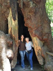 Die Melchtalerin Irma Mesterhazy-von Rotz (rechts) mit ihrer Tochter in Muir Woods (Kalifornien). (Bild: PD)