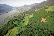 Das 120 auf 120 Meter grosse Schweizer Kreuz im Sachsler Obstockenwald über dem Sarnersee. (Bild: Luftaufnahme Daniel Reinhard)