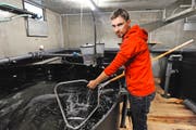 Laborleiter Fridolin Tschudi kontrolliert junge Zander, die aktuell zu Testzwecken in Erstfeld unterirdisch gezüchtet werden. (Bild Urs Hanhart)