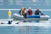 Keine leichte Aufgabe für den vierbeinigen Athleten: Er muss den Helfer ins Boot holen. (Bild Maria Schmid)