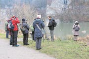 Gefiederte Wintergäste beobachten mit der naturforschenden Gesellschaft Obwalden und Nidwalden. Exkursionsleiter Roman Furrer (Zweiter von rechts) mit seiner Gruppe. (Bild: Patricia Helfenstein-Burch (Alpnach, 14. Januar 2018))