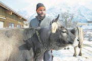 Bio-Uri-Sekretär Martin Schilter bewirtschaftet mit seiner Frau Barbara seit 20 Jahren den Biohof Halten in Gurtnellen-Dorf. (Bild: Christof Hirtler (Gurtnellen-Dorf, 27. Februar 2018))