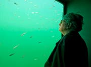Künstler Roman Signer in seiner Skulptur «Seesicht» – fünf Meter unter Wasser. (Bild Stefan Kaiser)