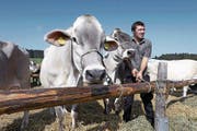 Der von den Aargauer Braunviehzüchtern organisierte Anlass lockt auch Jungbauern an. (Bild: Werner Schelbert (Horben, 23. September 2017))