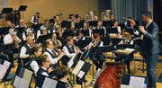 Der Musikverein Seedorf unter der Leitung von Michel Truniger bei seinem Auftritt. (Bild: PD)