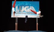 Um jedes Jahr eine Messe wie die Luga zu stemmen, muss man die Aussteller jeweils neu begeistern. (Bild: Manuela Jans (Luzern, 28. April 2014))