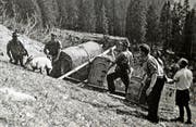 Die erste Aussetzung von Steinböcken am Huotstock im Mai 1955. (Bild: Reproduktion Staatsarchiv Obwalden)