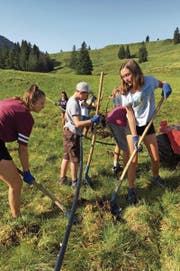 Sachsler Schüler vergraben eine Wasserleitung. Von links: Sarina Schälin, Marius Burch, Sophie Koch. (Bild: Patrick Berwert (Eriz, 30. August 2017))