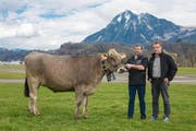 Kantonalschwingest NW und OW 2018 3. Preis: Rind Ajola, Züchter Hansueli Jakober-Gasser, Ramersberg und Simon Amacher von der Spenderfirma Krummenacher Sanitär, Kägiswil (Bild: PD (Sarnen, 16. März 2018))