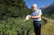 Alexander Imhof, Leiter des Amts für Umwelt, zeigt, wie man die fremden Pflanzen erkennt. (Bild Urs Hanhart)