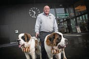 Die Hunde kommen: Markus Kretz mit dem Rigi-Bernhardiner Max (links) und seiner Gianna (rechts). (Bild: Pius Amrein (Rigi Kaltbad, 6. September 2017))