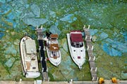 Bild: Greg Lovett/The Palm Beach Post via AP