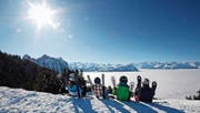 Gute Aussichten für Sattel-Hochstuckli: Das Skigebiet will sich bei Wintersport-Einsteigern profilieren. (Bild: PD)
