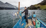 Fischer Michael Näpflin bei Vorbereitungen für den Auswurf der Netze auf dem Vierwaldstättersee bei Seelisberg. (Bild: Philipp Schmidli (20.01.2018))