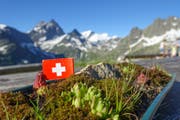 Jetzt kann man die schöne Bergwelt geniessen. Bei der Sustlihütte ist die Einstimmung zum 1. August schon gemacht. (Bild: Vroni Wey)