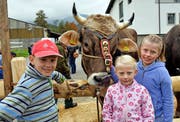 Siegerstier Carlo mit Patrick, Melanie und Tamara, den Kindern des Züchters Paul Rohrer. Bilder: Romano Cuonz