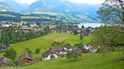 Seit zwei Jahren muss bereits um die Baugespanne auf der Hofmatt herum gemäht werden. (Bild Markus von Rotz)