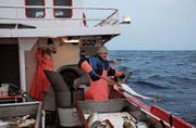 Kabeljau-Fischer Børge Iversen vermietet sein Boot auch an Touristen.