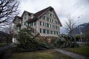 Beim Wohnhaus Mettenweg hat der Sturm Burglind den Weihnachtsbaum geköpft. (Bild: Corinne Glanzmann (Stans, 3. Januar 2018))