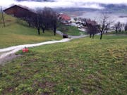 ...und läuft hinunter zur Bergstrasse. (Bild: Feuerwehr Lauerz)