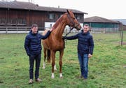 Auf dieser Weide wird die Tierklinik entstehen. Die Leitung wird Fa- bian Huwiler (rechts) übernehmen. Sein Bruder Michael leitet die Pferdepension.