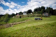 Oberhalb von Stalden auf Stockenmatt rutscht der Boden und damit auch die Häuser und Eigentumsgrenzen. (Bild Corinne Glanzmann)