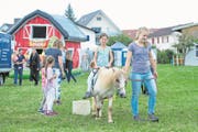 Auch für die kleinsten Besucher hielt das traditionelle Dorffest zahlreiche Attraktionen bereit. (Bild: Maria Schmid (Auw, 23. Juli 2017))