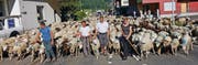 Die Tiere und ihre Begleiter sind seit Donnerstagmorgen unterwegs. (Bild Ernst Immoos, Bote der Urschweiz)