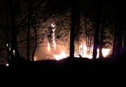 Die Bekämpfung des Feuers im unwegsamen Gelände war eine Herausforderung. (Bild: Kapo Schwyz)