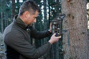 Archivbild: So sieht eine Fotofalle aus. Im Bild ein Wildhüter aus Tamins, bei der Montage einer Fotofalle. (Bild: Jakob Menolfi / Keystone)