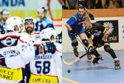 Die Spieler des HC Ambri-Piotta sind Alleskönner auf dem Eis. Gegen den RHC Uri begeben sie sich nun auf unbekanntes Terrain. (Bilder Urs Hanhart/Keystone)