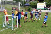 Beim Sportfest standen Spiel und Spass im Vordergrund. Etwas ernster ging es beim «Schnellsten Hergiswiler» (links oben) zu und her. Tennisclub-Präsident Patrick Iten (Bild unten rechts in der Mitte) mit den früheren Profis Raphael Lustenberger (links) und Alexander Sadecky. (Bilder Robert Hess)
