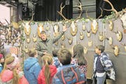 Wildhüter Werner Durrer zeigt Zweitklässlern, was man von Wildtrophäen ablesen kann. (Bild: Romano Cuonz (Dallenwil, 9. März 2018))