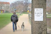 Bildnummer: 60438719 Datum: 30.03.2012 Copyright: imago/Christian Mang Symbolbild: Hundehasser verteilt Giftköder in mehreren Berliner Bezirken. Nachdem von Unbekannten in verschiedenen Berliner Bezirken auf Straßen, Plätzen und Parkanlagen Giftköder ausgelegt wurden, warnen Hundehalter andere mit Plakaten. Giftköder Berlin xas x0x 2012 quer Aufmacher premiumd kurios Berlin Gift Giftkoeder Hund Hunde Hundehasser Vergiften Vergiftung Hundehalter Hauptstadt Tierschutz Tierhasser Giftköder Köder Koeder Hundefeinde Stadt Großstadt Plakat Plakate 60438719 Date 30 03 2012 Copyright Imago Christian Mang Symbol image Hundehasser distributed Poison bait in several Berlin Districts after from Unknown in different Berlin Districts on Roads Places and Parks Poison bait designed were warn Dog owners other with Posters Poison bait Berlin x0x 2012 horizontal Highlight premiumd funny Berlin Poison Giftkoeder Dog Dogs Hundehasser Vergiften Poisoning Dog owners Capital Animal welfare Tierhasser Poison bait Bait Bait City Big city Billboard Posters (Bild: Christian Mang/Imago)