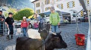 Der Streichelzoo kommt bei den Kindern immer gut an. (Bild: Angel Sanchez (Altdorf, 7. April 2018))