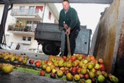 Norbert Fischer spediert seine Äpfel in die Mostpresse. Bild: Oliver Mattmann (Stans, 13. Oktober 2016)