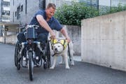 «Der Hund öffnet mir die Türe zu sozialen Kontakten.» Christian Stöckli mit seinem ständigen Begleiter Windsor. (Bild: Boris Bürgisser, Luzerner Zeitung / Sursee, 17.6.2017)