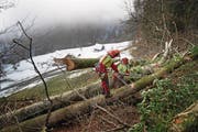 Die Forstwarte Peter Christen (links) und Marcel Niederberger oberhalb der Wiesenbergstrasse. (Bild: Corinne Glanzmann (Dallenwil, 6. Dezember 2017))