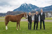 Kantonalschwingest NW und OW 2018 4. Preis: Fohlen Lysia, Züchter Roland Kathriner, Römerswil, und die Spender Hans Ming und Generalagent Simon Mani von der Zürich Versicherung, Sarnen (Bild: PD (Sarnen, 16. März 2018))