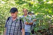 Denkmalpfleger Peter Omachen liest vor grandioser Kulisse aus einem Hotelprospekt vor (links), rechts Teilnehmer der Führung im verwilderten Burgfluh-Park. (Bilder Christoph Riebli)