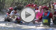 Bild: Screenshot Video SDA