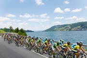 Velofahrer der Tour de Suisse am Zugersee. (Bild: Keystone)