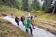 Die Aussichtsplattform ist auf einem breiten Wanderweg erreichbar. (Bild Urs Hanhart)